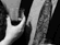 tn020.gif