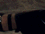tn036.gif