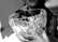 tn047.gif
