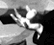 tn055.gif