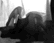 tn058.gif