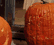 tn060.gif