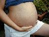 tnweb_26hennabelly_36wks.jpg
